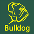 Bulldog