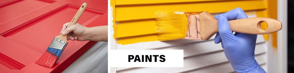 Paints Paint