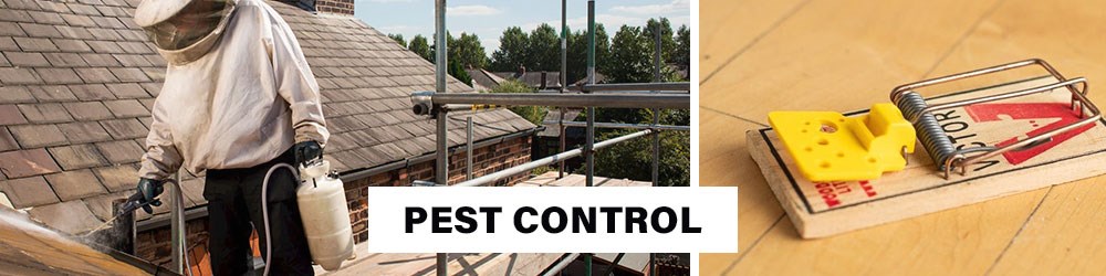 Pest Control Pest Control