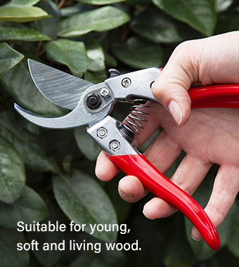 Suitable for young, soft and living wood. ARS VSXZ Single Hand Locking Bypass Hardened Secateurs