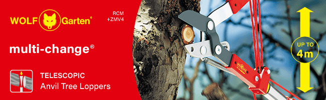 Wolf Garten Multi-Change
Telescopic Anvil Tree Loppers
Cutting Head RCM and
Telescopic Handle ZMV4 220-400cm Wolf Garten MultiChange RCM ZMV4 Telescopic Anvil Tree Loppers