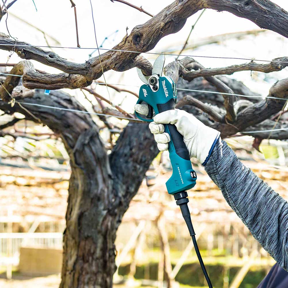 Makita cordless secateurs best sale