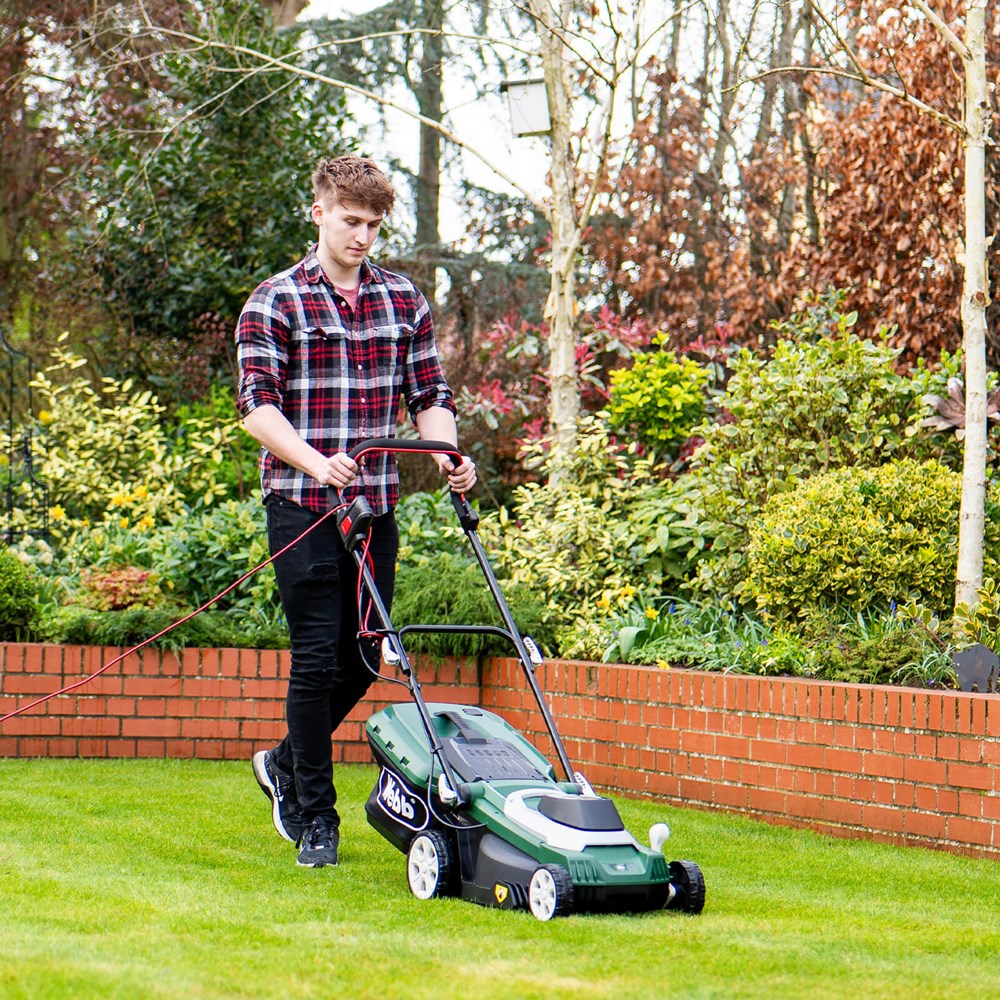 Petrol Lawn Webb Rear Roller Mower Webb WEER37RR Classic Electric