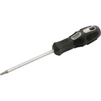 Draper Expert Security Torx Screwdriver