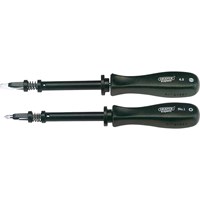 Draper Expert 2 Piece Screwdriver Set