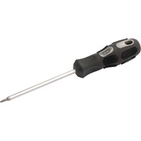 Draper Expert Torx Screwdriver
