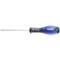 Expert by Facom Torx Screwdriver