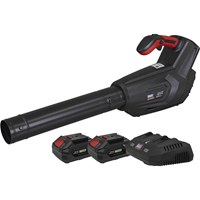 Sealey CP40VB Twin 20v Cordless Leaf Blower Sealey CP40VB Twin 20v Cordless Leaf Blower
