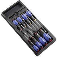 Expert by Facom 8 Piece Screwdriver Set in Module Tray