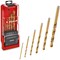 Einhell 6 Piece HSS-G Titanium Coated Drill Bit Set 