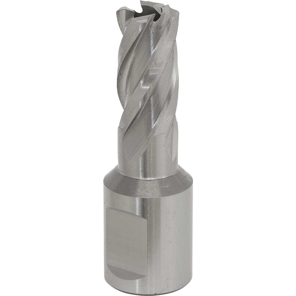 Sealey Rotabor Weldon Shank Hss Mag Drill Cutter 14Mm 25Mm