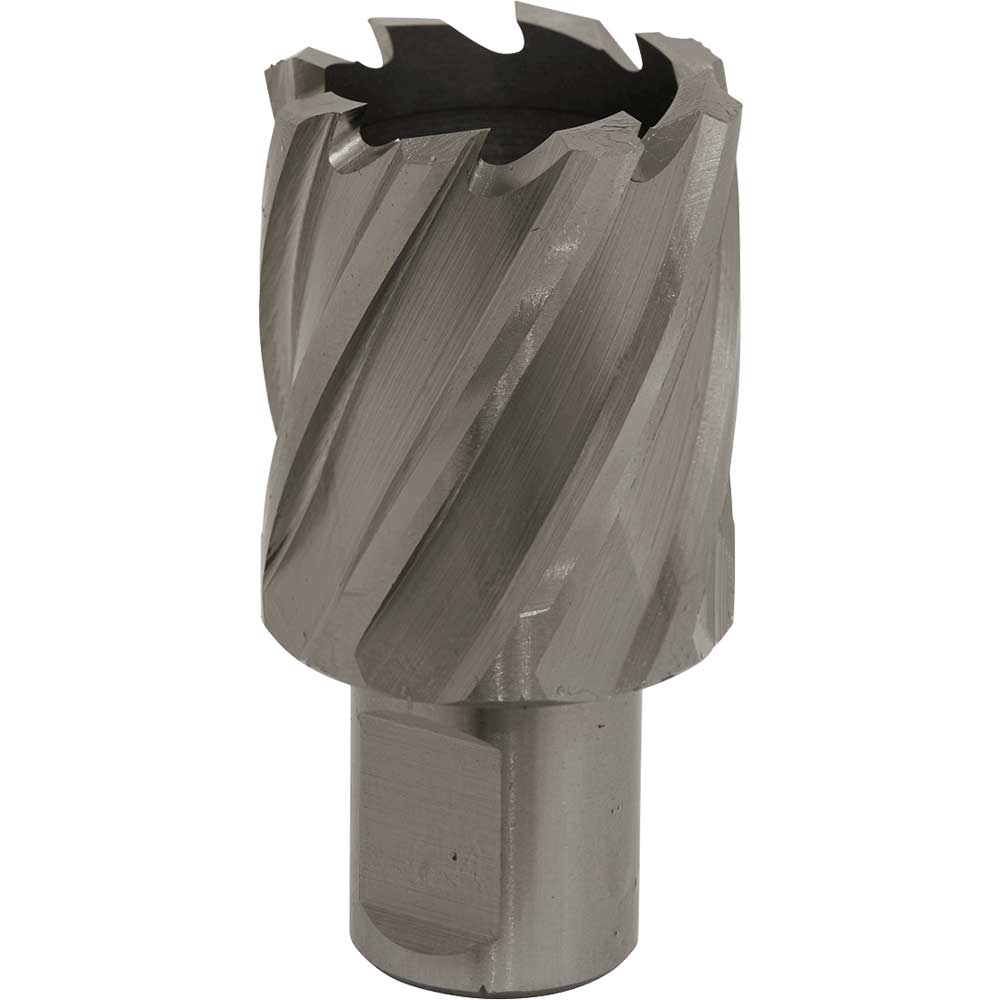 Sealey Rotabor Weldon Shank Hss Mag Drill Cutter
