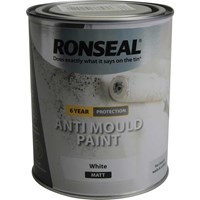 Ronseal 6 Year Anti Mould Aerosol