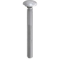 Coach Bolts Stainless Steel