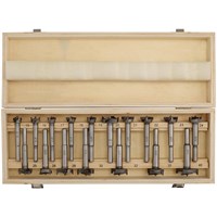 Draper 17 Piece Forstner Drill Bit Set