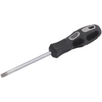 Draper Expert Security Torx Screwdriver