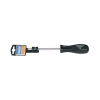 Draper Security Torx Screwdriver