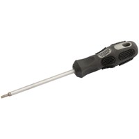 Draper Expert Torx Screwdriver