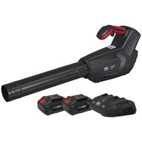 Sealey CP40VB Twin 20v Cordless Leaf Blower