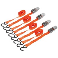 Sealey Cam Buckle Tie Downs Strap